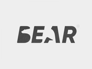 معنی واژه ی bear به فارسی چیه ، با توجه به عکس 